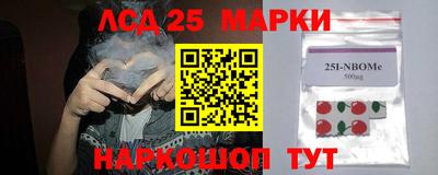 винт Камышлов