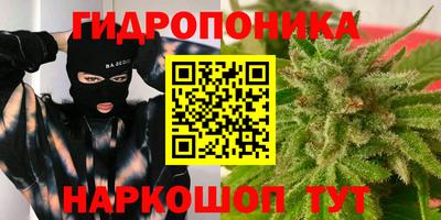молекула духа Кандалакша