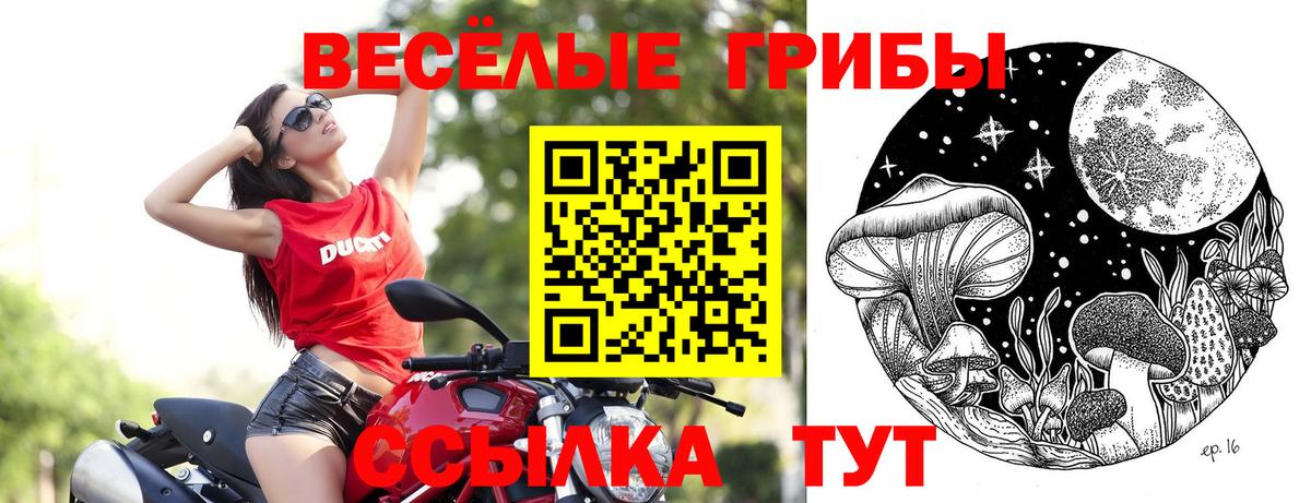 Галлюциногенные грибы мицелий Шахты